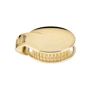 Spazzola pieghevole con specchio